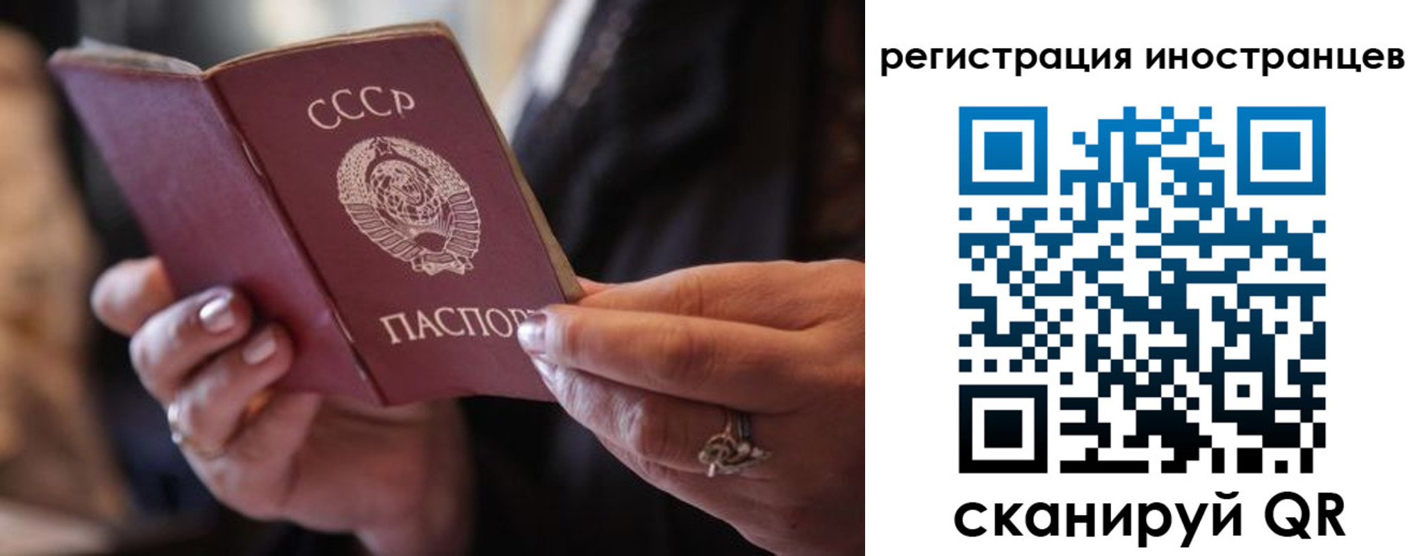 где прописаться в Зернограде